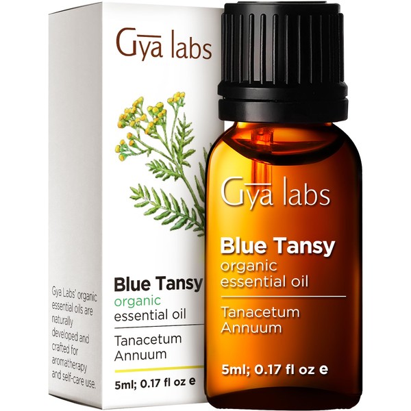 Gya Labs Aceite esencial orgánico azul tanaceto, ideal para alivio del estrés y alivio de los senos paranasales, tratamiento del acné para piel seca e irritada, 100 puro grado terapéutico para aromaterapia y tópico, 5 ml