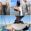 Zyiphor Set da 16 Cucchiaini Pesca per Trota, Esche Artificiali