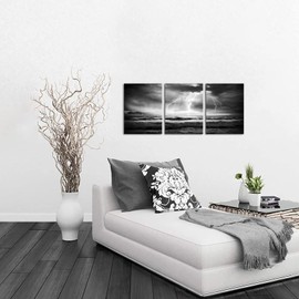 Artmyharbor Black and White Picture Lightning Storm Canvas Print Bathroom Wall Decor 12X16 inches