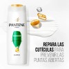 Shampoo Pantene Pro Restauración 400