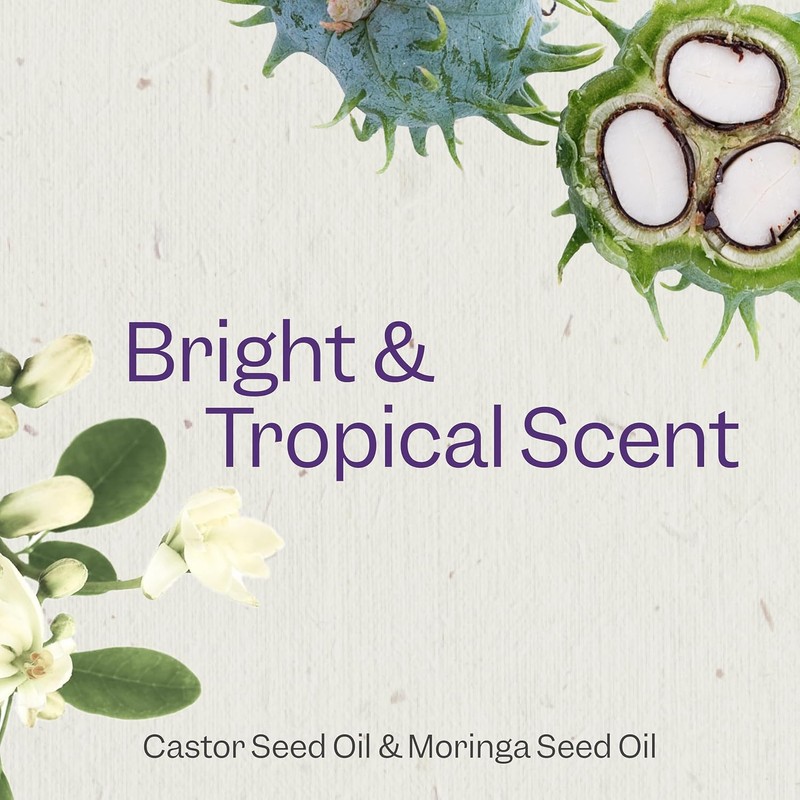 Renpure Castor Oil & Moringa Shampoo and Conditioner Set, Plant-Based*,