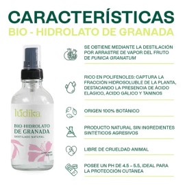 Tonico Facial Hidrolato De Granada 120ml Antioxidante Todo Tipo De Piel Día/noche
