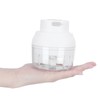 100ml USB Vegetable Cutter Mini Garlic Crusher Chopper Electric Garlic