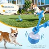 The Chase Buddy Dog Boredom Stimulating Toy 2025 Smart Pet