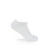 Fruit of the Loom No Show Socks Womens 8 Pack