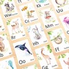 26 Animal Letter Cards Flashcards - I Learn the Alphabet