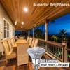 Ivyemons PAR20 50W Halogen Bulb - 2 Pack 120V 50W