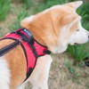 TAIL UP Dog Harness, Oxford, Soft, Non-Restraint, Breathable, Adjustable, Pulling