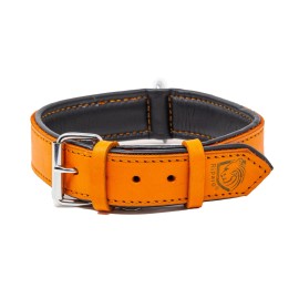 Riparo Genuine Leather Padded Dog Heavy Duty K-9 Adjustable Collar - Orange - Orange, Small