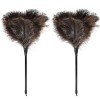 Retractable Feather Duster Ostrich Feathers Anti-Static Reusable Eco-Friendly Handheld Cleaning