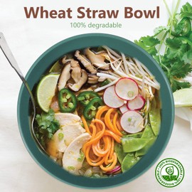 Homienly Cereal Bowl Set, Wheat Straw Fiber Unbreakable Lightweight Bowls Set (Green, 26 OZ)
