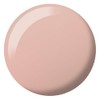 DAISY DND- Juego de esmaltes en gel DC Sheer Polish