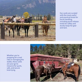 Harrison Howard Horse Knot Cards: Your Passport to Equine Knot Tying Mastery - an Exploration of The World of Equine Knots (7 pieces)