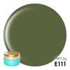 ella BY SHINYGEL Color Gel E111 Mellow Green (Elabai Shiny