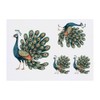 4 x 'Beautiful Peacock' Temporary Tattoos - Water Resistant, Skin-Safe,