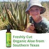 Seven Minerals, Travel Size Organic Aloe Vera Gel from freshly