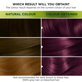 Garnier Nutrisse Ultra Color, Permanent Hair Dye, Intense Colour, For All Hair Types, 4.26 Ultra Violet
