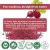EXOTIC VEDA Organic Beetroot Powder 100g(3.53oz) | 100%Pure Beet Root