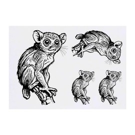 Azeeda 4 x 'Philippines Kobldmaki' Temporary Tattoos - Waterproof, Skin-Friendly & Non-Toxic · Transfers in Various Sizes (TO00071520)