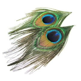 Real Peacock Feather Earrings - New - Pair!