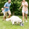 AIXXCUVQ Pet Soccer Ball with Straps Interactive and Fun Durable