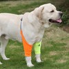 Joint Protector for Front Legs, Elbow Pads with Pad for