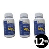 Living Factory H Partner Magnesium mg 120 tablets, 3 units / 마그네슘 mg 120정, 3개