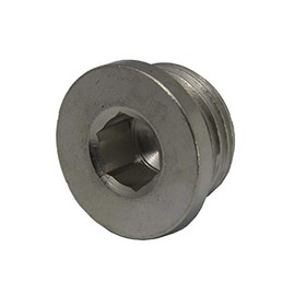 Sealing plug with hexagon socket and cylindrical thread G 1/4 inch, 40 bar stainless steel V4A
