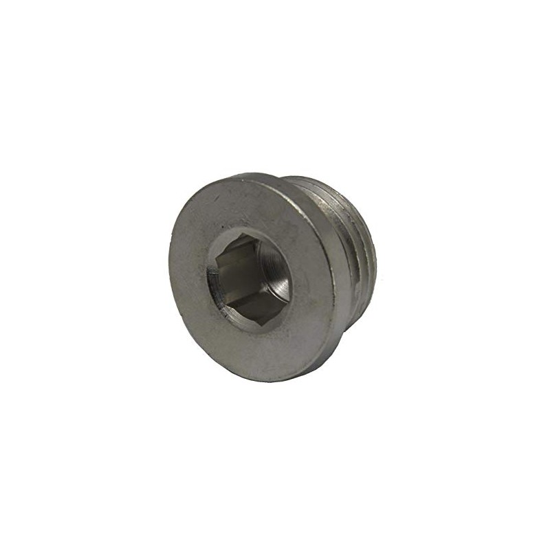 Sealing plug with hexagon socket and cylindrical thread G 1/4