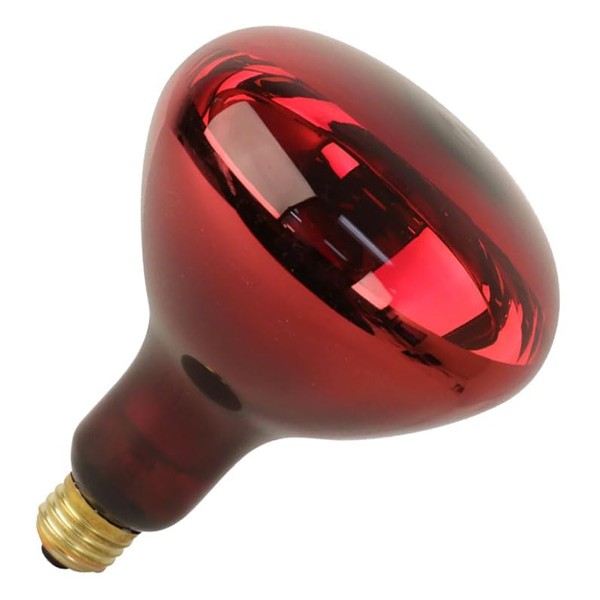 Replacement for Feit 250R40/10, Dimmable Heat Lamp Specialty Light Bulb