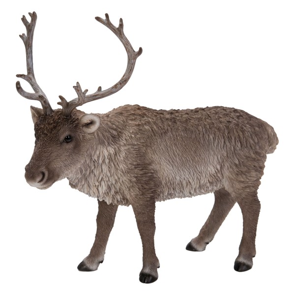 Vivid Arts - Real Life Reindeer Home or Garden Decoration