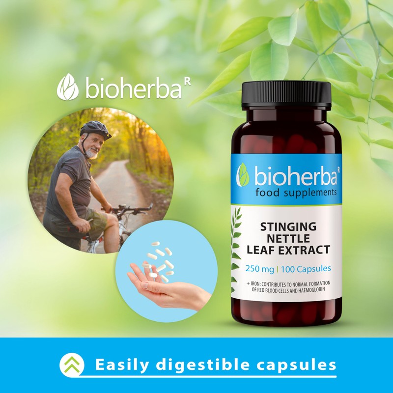 Stinging Nettle Leaf Extract 250 mg – 100 Capsules |