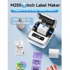 Phomemo M250 Label Printer, 3 Inch Bluetooth Labeling Device, Thermal