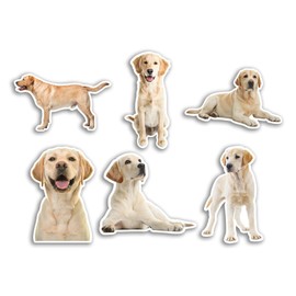 6 x 10cm Golden Labrador Vinyl Stickers - Dogs Puppy Animal Funny Pattern Nature Pets Face Wild Girls Boys Travel Scrapbooking #80801