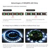 SEZO WS2815 LED Strip Light (Upgraded WS2812B) 5M 60LEDs/m Dream