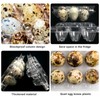 Vegena Quail Egg Boxes - Pack of 50 Quail Egg