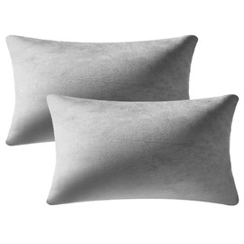 DEZENE Decorative Pillow Cases 12x20 Light-Grey: 2 Pack Cozy Soft Velvet Rectangular Throw Pillow Covers for Farmhouse Home Decor