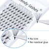 Premade Fans Eyelash Extension 14D D Curl 0.07mm 13mm Pre