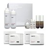 CNP Rx Skin Rejuvenating Skincare Set / CNP Rx 스킨
