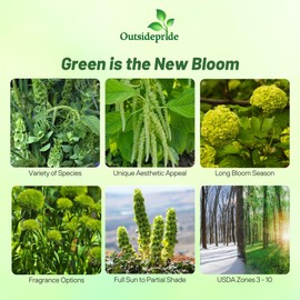 Outsidepride Green Wildflower Seed Mix - 5000 Pcs Annual, Vibrant, Easy-to-Grow, Flower Seeds for Planting in Pollinator Gardens & Outdoor Landscapes, Ideal for Erosion Control & Enhancing Landscapes