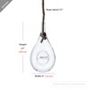 WGV Hanging Planter Terrarium, Width 6", Height 11", DIY Clear