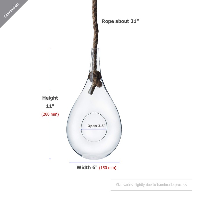 WGV Hanging Planter Terrarium, Width 6", Height 11", DIY Clear