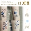 Organic Tattoo Brown 4g Henna Tattoo (Body Art)