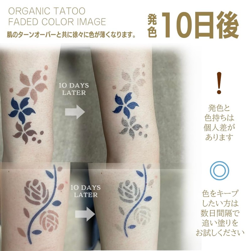 Organic Tattoo Brown 4g Henna Tattoo (Body Art)