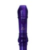 Zest Package Descant Recorder - School Recorder with Cleaning Rod