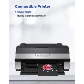 96 Ink Cartridges R2880 Ink Cartridges 9-Color Set T096 T0961 T0962 T0963 T0964 T0965 T0966 T0967 T0968 T0969 Ink Replacement for 96 UltraChrome K3 Ink Cartridge for Stylus Photo R2880 Printer Ink