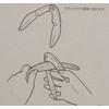 Pearl Metal C-966 Seasonal Choice Crab Split
