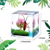 LimiChrys Insects' Cubic Scope, Real Insect Collection, Resin Bug Specimen,