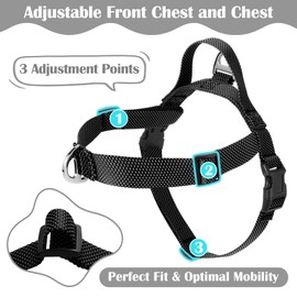 Annchwool No Pull Dog Harness with Front Clip and Easy Control Handle-Belly & Chest Adjustable Dog Harness and Leash Set for Medium Large Dogs-Heavy Duty Vest Harnesses Easy for Walking(Black,M)