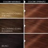 Garnier Olia Permanent Coloration and Dye